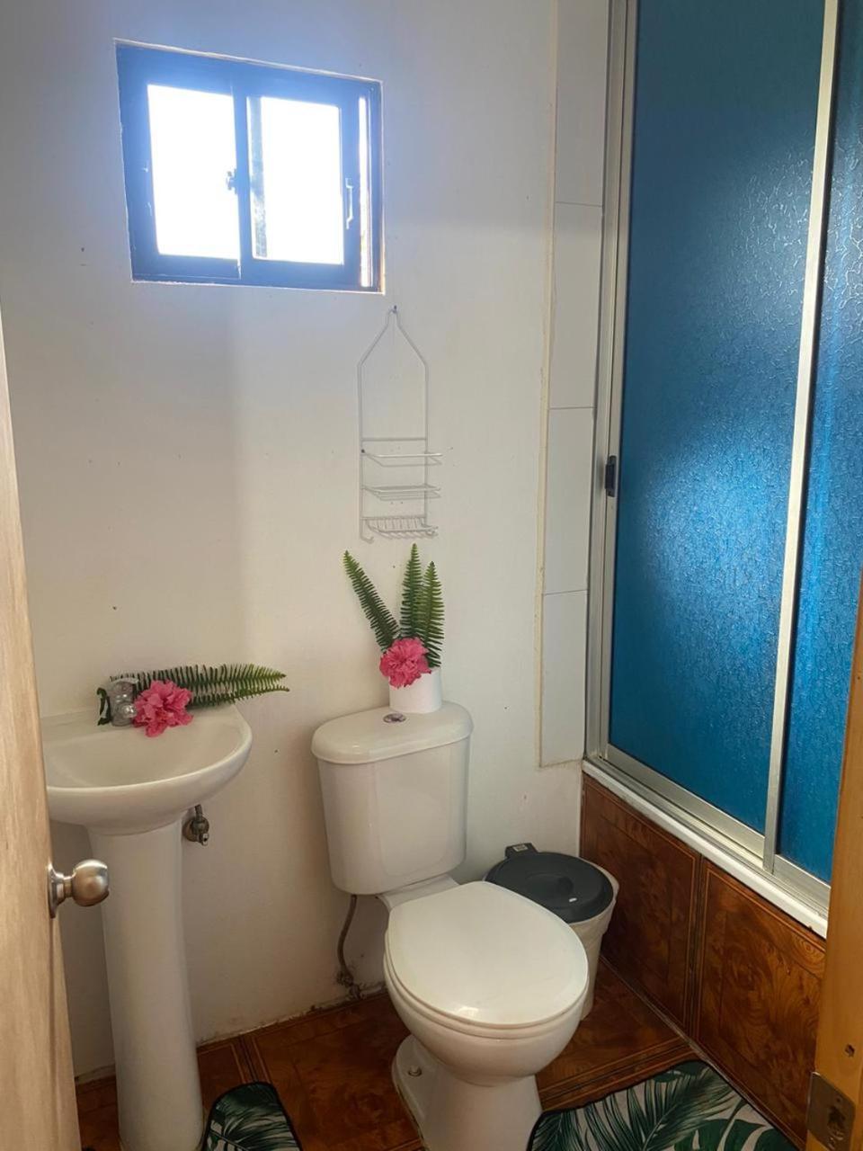 Hostel Pua Vaenga Hanga Roa Exteriér fotografie